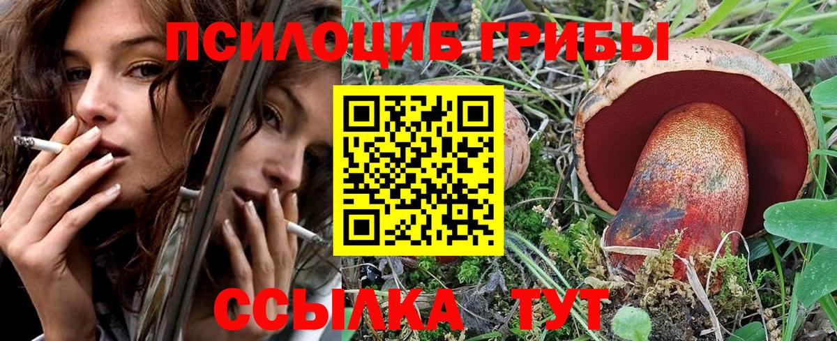Галлюциногенные грибы Psilocybe  Вход с VPN  Мыски  Галлюциногенные грибы мухоморы 
